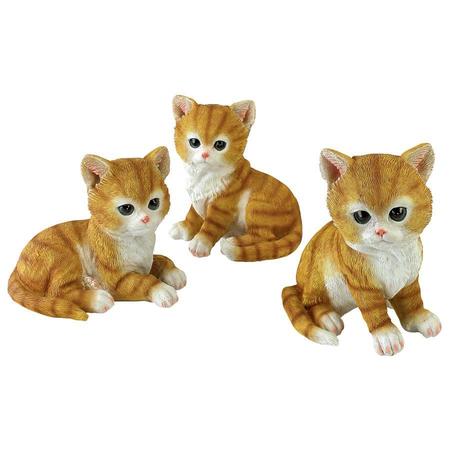 DESIGN TOSCANO Tabby Kitten Triplets, Baby Cat Statues QM1241550